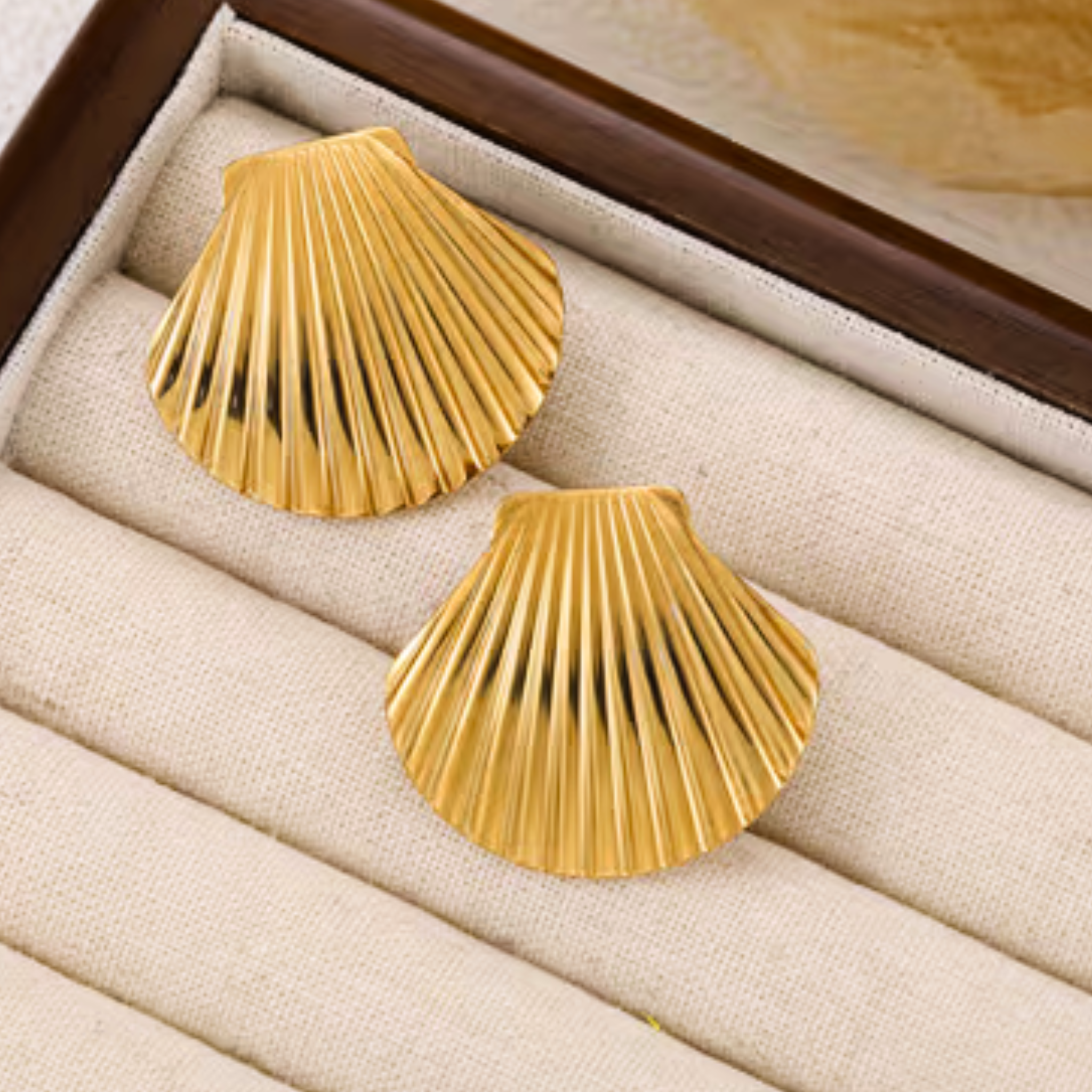 Gold shell-shaped earrings in a jewelry box